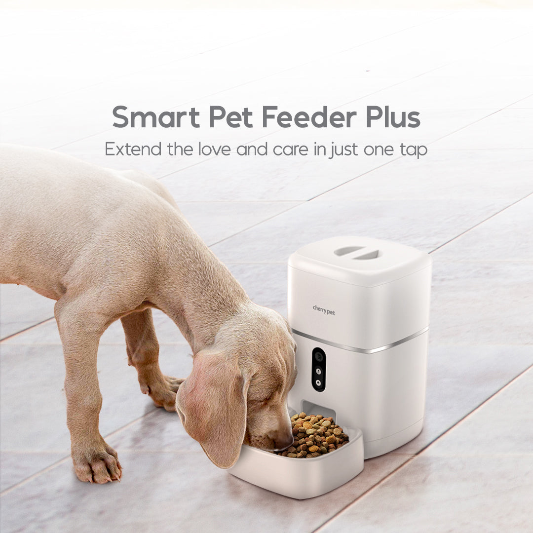 CHERRY Pet Smart Pet Feeder Plus
