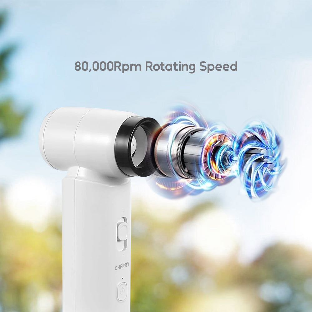 CHERRY 2-in-1 Turbo Fan & Air Pump