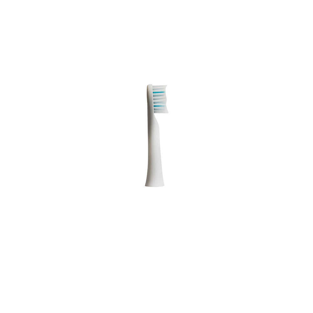 CHERRY Sonic Electric Toothbrush Replacement Head
